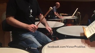 Le Sacre du Printemps, Stravinsky. Full Timpani Part