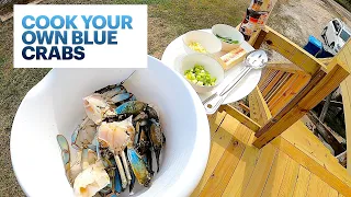 **BLUE CRABS** How to CATCH, CLEAN, & COOK