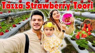 Strawberry Farm Sy Tazza Strawberry Toori || I gifted Aizal’s New Toy To Chinese Kids