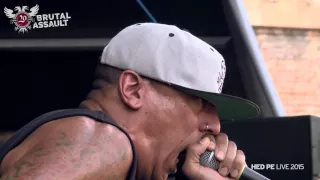 Brutal Assault 20 - Hed PE (live) 2015