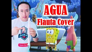 J Balvin, Agua, Flauta dulce fácil, tutorial flauta, easy flute recorder