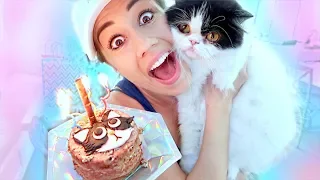 THROWING MY CAT A BIRTHDAY PARTY!