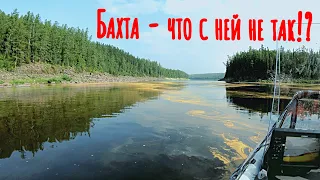 Бахта - знакомство с рекой и первые трофеи/Нашли рыбу в огромной яме/Таинственная загадка Бахты #4