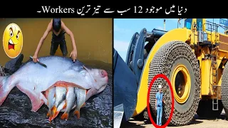 12 Most Fast Workers In The World Urdu |  دنیا کے سب سے تیز ترین ورکرز |  Haider Tv
