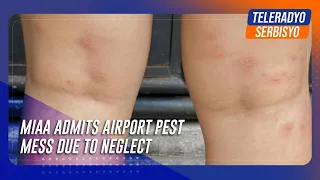 MIAA admits airport pest mess due to neglect