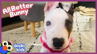 Dog With Stuck Muscles Needs Our Help! | Dodo Kids | All Better