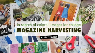 Magazine harvest with me for GLUE BOOK COLLAGES