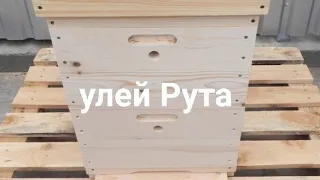 Улей Рута, он же многокорпусный. Плюсы и Минусы. Кашковский В.Г.