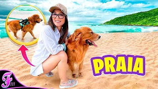 MEU CACHORRO AMOU A PRAIA! * teve piscina * - Fran Japa