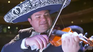 "Así Somos en Jalisco" - Mariachi Vargas de Tecaliltán