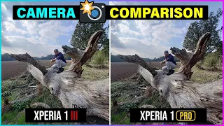 Xperia 1iii VS Xperia PRO - Camera Comparison
