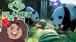 Xi Xi the Panda's BIRTHDAY Celebration!! 🐼 Daily Planet Zoo! • Zoodesia! • Day 81