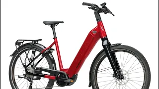 New Koga Pace B05 e-bike with a 250W Bosch motor, 750Wh battery, and 240km range launched.