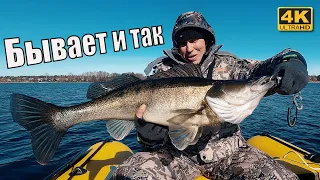 Судак МОНСТР - Рыба моей мечты