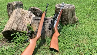 Ruger 10/22 vs Marlin Model 60: Head to Head accuracy test.