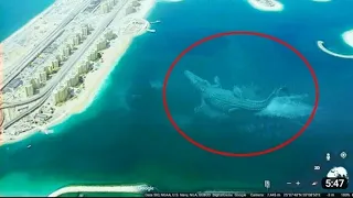 7 Mysterious Deep Sea Creatures Spotted On Google Earth#wildlife