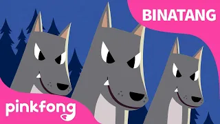 Binatang Malam Hari | Lagu Binatang & Hewan | Lagu Anak Bahasa Indonesia | Pinkfong dan Baby Shark