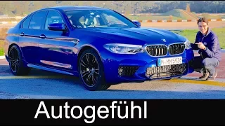 BMW M5 - the German muscle car? FULL REVIEW F90 all-new 5-Series M 2018 acceleration & sound