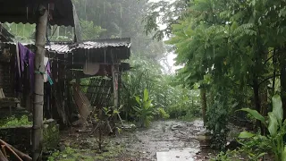 heavy rain, in the backyard of the house, so lazy to go anywhere