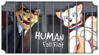 FINIAMO IN PRIGIONE SU HUMAN FALL FLAT CON @PoggoDoggo !