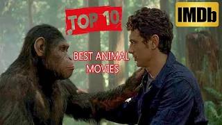Top 10 Best Animal Movies of all time/According To IMDb score