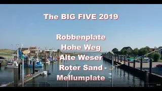 Seekajak "Big Five" Leuchttürme der Nordsee 24.08.2019
