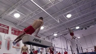 Ohio State Men's Gymnastics - Promo 2019