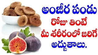Fruit for No Pregnancy || Benefits of ANJEER | Dry Fruits Health Benefits | Fruit Health
