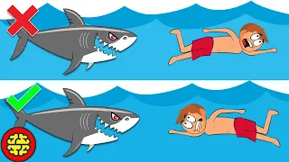 Как выжить, если на вас напала акула