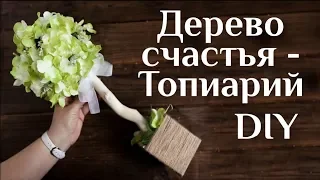 Дерево счастья - Топиарий DIY МК Топиарий из цветов Оригинальный подарок Топиарий для декора 100ИДЕЙ