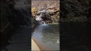 Exploring South Africa  - mountain stream in Bushveld