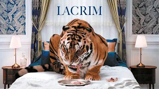 Lacrim - Kounti feat Cheb Mami [PAROLES]