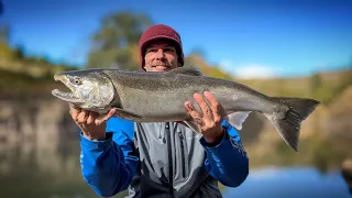 Kwikfish Coho Salmon Fishing Success! SIMPLE SETUP For Catching Coho In Rivers