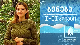 ბუნება, I-II კლასი - მხოხავი ცხოველები #ტელესკოლა