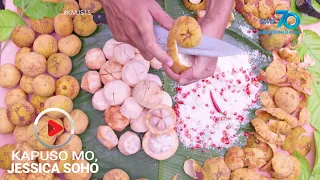 Kapuso Mo, Jessica Soho: Santol Station!