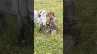 Бэлка ластится к хозяйке, после занятий с валантëрами.