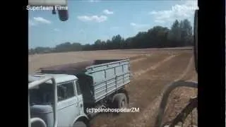 Wheat Harvest - 2x Claas Lexion,3x Škoda Liaz 706,Tatra 148