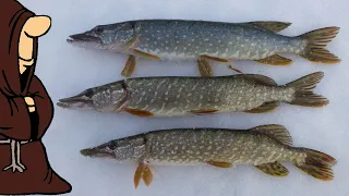 Каждому по Щуке к Новому Году 2023 Зимняя рыбалка на жерлицы на реке Сок