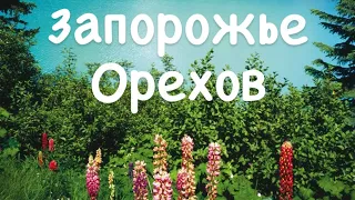 Запорожье левый и правый берег. Орехов