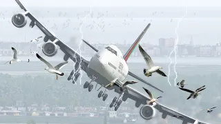 B747 Pilot Saved All Passenger Lives With This Bird Strike Emergency Landing | XP11