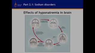 Fluid & Electrolyte Disturbance โดยนายแพทย์สุรเมธ อิสรานุวัฒน์ชัย