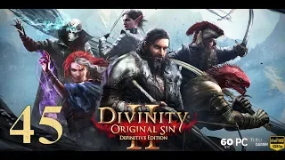 Divinity: Original Sin 2 - Definitive Edition | PC | Español | Cp.45 "Cosas de trols"