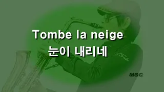 Tombe la neige, 눈이내리네, 색소폰, 알토색소폰, Alto Saxophone