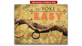 My yoke is easy.  Homily for the 14th Sunday in Ordinary Time, Year A.