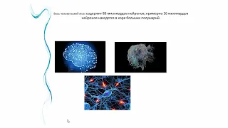 Прикладная психология ч2