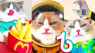 Best Of That Little Puff Tiktok Compilation 2