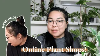 My Favorite ONLINE Plant Shops! | + Rare Plant UNBOXING