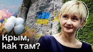 🔥 Крымчане радуются каждому "хлопку" и НЕ БОЯТСЯ заявлять о проукраинской позиции!