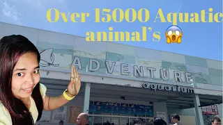 Adventure aquarium camden New Jersey | over 15000 aquatic animals #adventureaquarium #priyanka