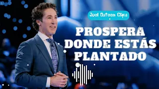 Prospera donde estás plantado - Joel Osteen Clips